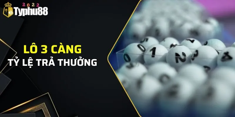 Lô 3 Càng Ăn Bao Nhiêu - Typhu88 Giải Đáp Chi Tiết 2024 2 Tỷ lệ trả thưởng khi cá cược