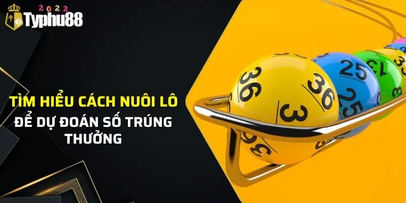 3 Cách Nuôi Lô Siêu Hiệu Quả Từ Các Chuyên Gia Typhu88 1 Tìm hiểu cách nuôi lô để dễ dàng dự đoán số trúng thưởng